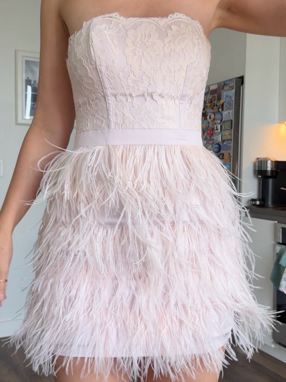 bebe Strapless Lace Bodice Feathered Mini Dress - Blush